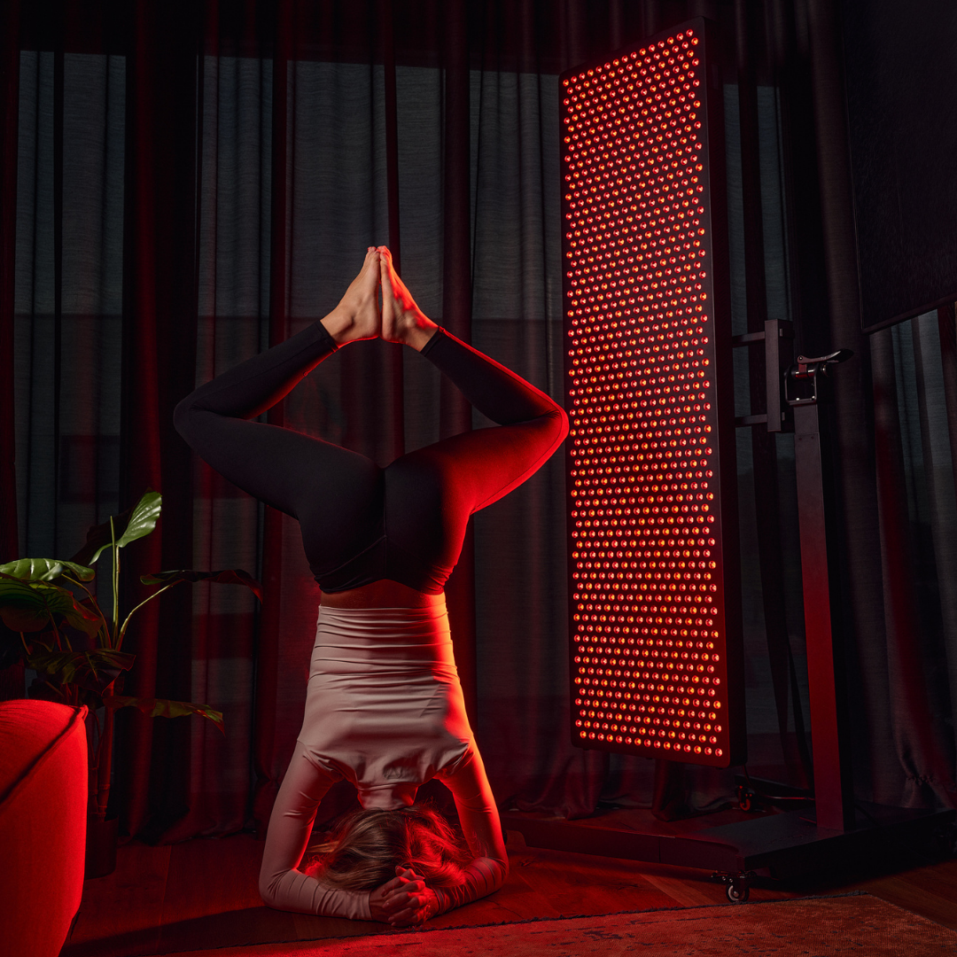 MITO LIGHT® Master 5.0 raudonos šviesos ir NIR spindulių panelė