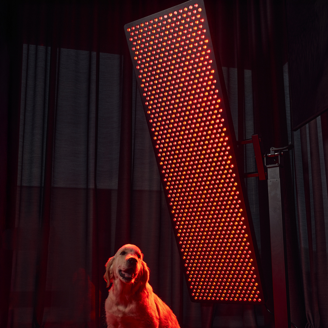 MITO LIGHT® Master 5.0 raudonos šviesos ir NIR spindulių panelė